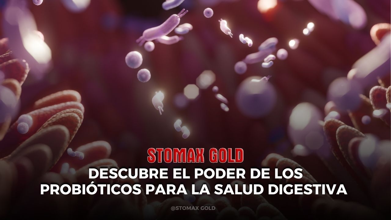 Descubre el Poder de los Probióticos para la Salud Digestiva – Una Guía Completa