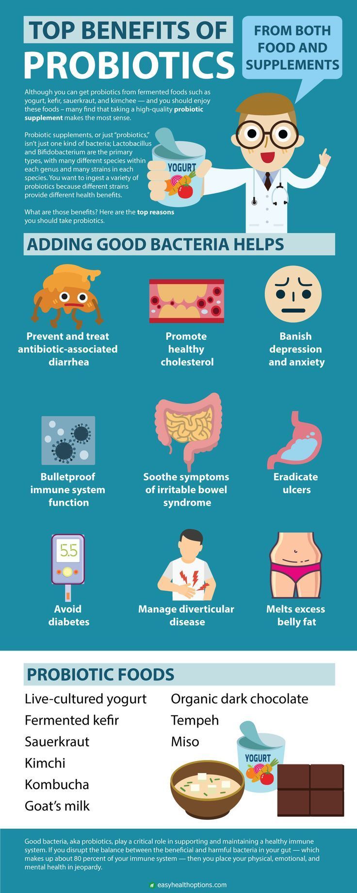 Descubre el Poder de los Probióticos para la Salud Digestiva – Una Guía Completa