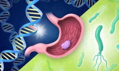 Berberina para Bacteria HP y+ 5 Una Solución Natural para la Salud Gastrointestinal