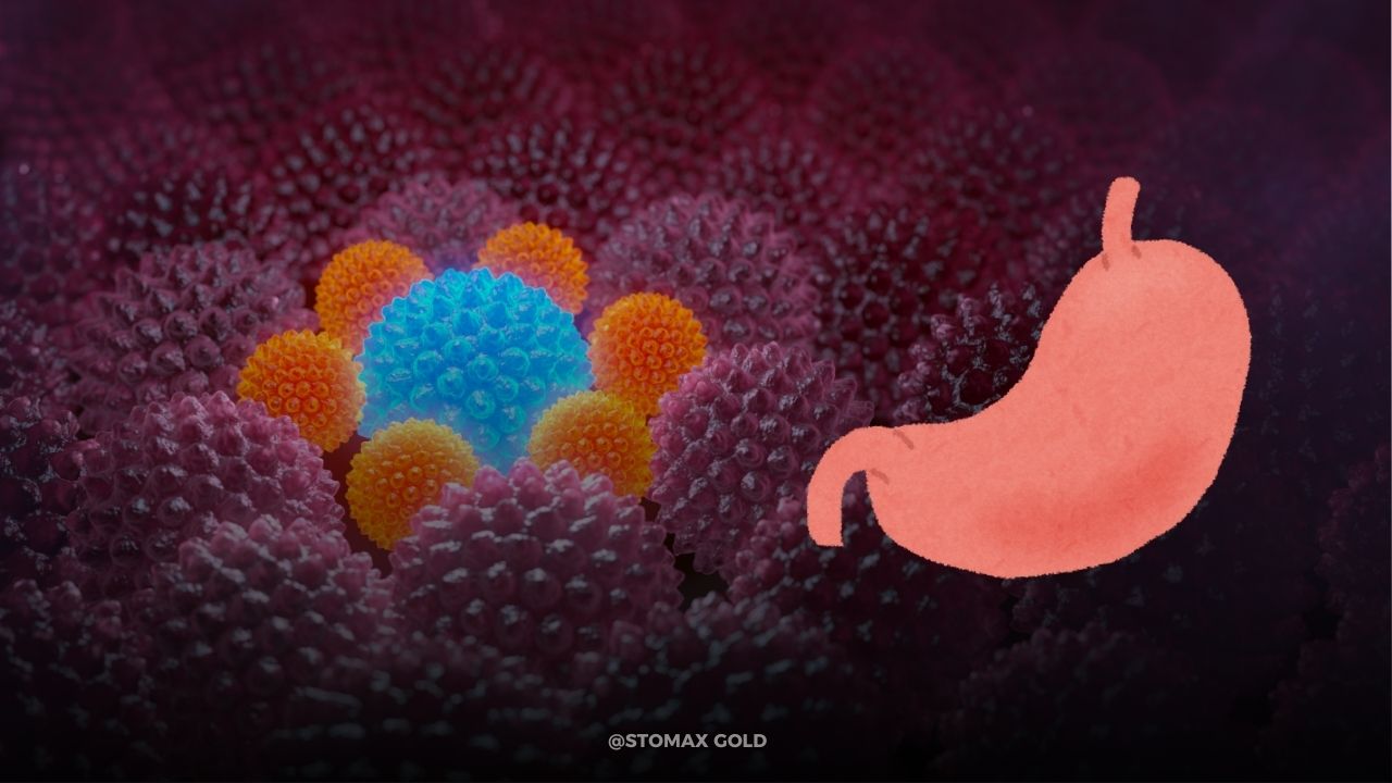 Reduce Stomach Inflammation: 8 Proven Methods For Fast Relief | Stomax Gold